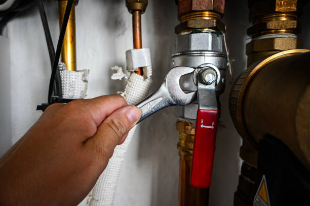 Best Plumbing Services Near Me  in Lmerton, PA